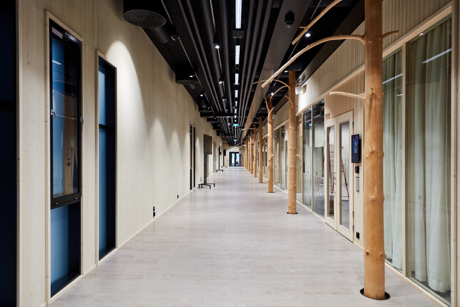 Pikku-Finlandia_Mikael_Linden_2