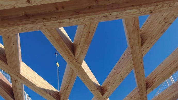 Buckland Timber erhöht mit Nordtreat den Einsatz von feuergeschütztem CLT in Großbritannien